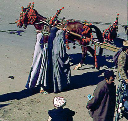 Afga6