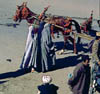Afga6