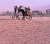 afga11